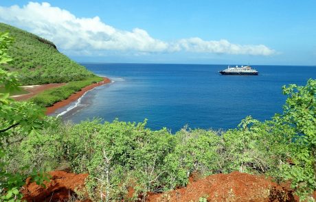 למה כדאי לטייל בגלפגוס: המסע שיחזיר אתכם לטבע