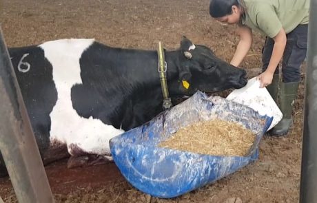 איבדה אבא, סבא ודוד, התגייסה לרפת המשפחתית ונבחרה לאחת מ-40 הצעירים המבטיחים בחקלאות