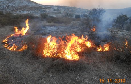 ל"ג בעומר: קק"ל ממליצה על עשרת הדברות למדורה בטוחה