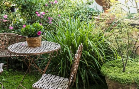 תחזוקת גינות ושיקום נופי ברמה גבוהה