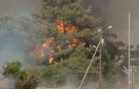 הממשלה אישרה: 4.5 מיליון שקלים לשיקום היישובים שנפגעו בשריפות