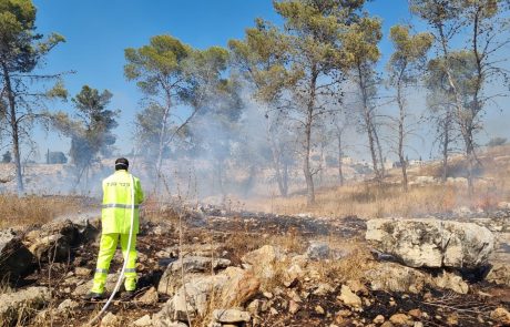 למרות ההתחממות הגולבלית בקק"ל מדווחים על ירידה של 47% בשריפות הקיץ