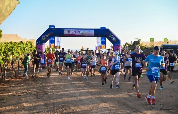 בין הכרמים: כ-200 רצים השתתפו במרוץ "ענבי טלי" הראשון מסוגו בישראל