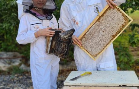 להתחפש לדבוראים ולייצר דבש