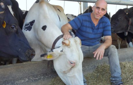 ספין מוצרי החלב נחשף: רווחי ענק לרשתות השיווק והמחלבות דווקא ממכירות המוצרים המפוקחים