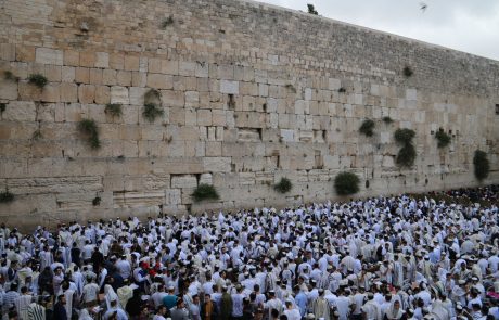 יום ירושלים: משרד התרבות יקצה 250 מליון ש"ח לחשיפת ירושלים הקדומה