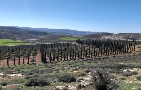 פינוי הכרם | ההוראה של סמוטריץ' – וההחלטה ההפוכה של גלנט