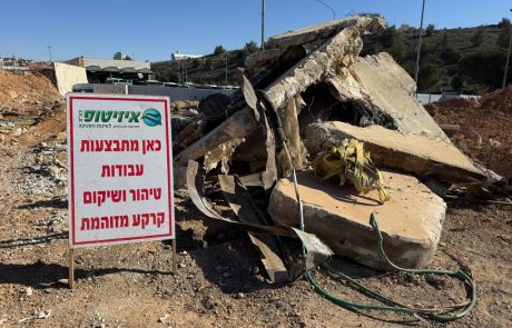 סקר עצים – מתי הוא נדרש, כיצד הוא מתבצע ולמה הוא חיוני לפני קבלת היתר בנייה?