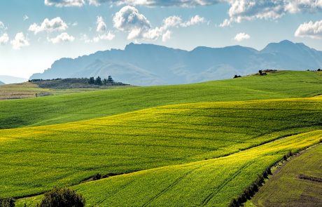 Israeli Smart Farming Winning Outsized Share of Global Funding