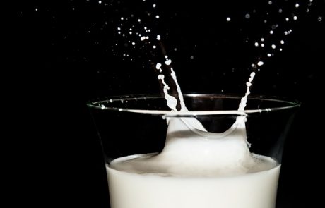 הרפתנים: נתוני ראש הממשלה מופרכים.  ביטול מכסות החלב יעלה למדינה לכל הפחות –כ-5 מיליארד שקלים.