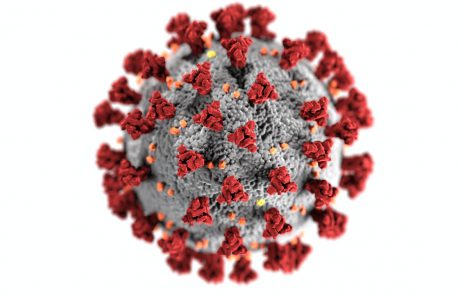 חוקרים מאוניברסיטת בן-גוריון בנגב גילו:  נגיף הקורונה פוגע במערכת החיסונית