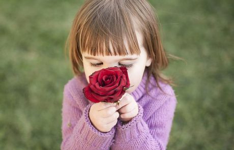 10 יתרונות של פיזור שמנים אתריים בבית שלך